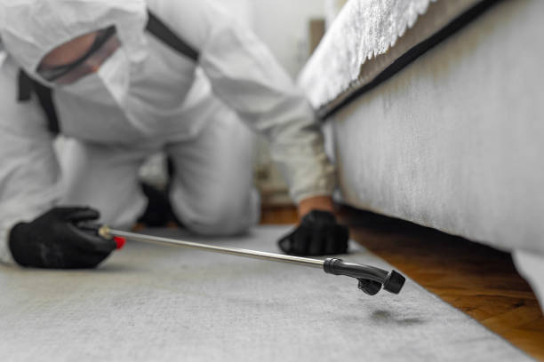 Professional Bed Bug Control technician working in Sherburne County County, MN